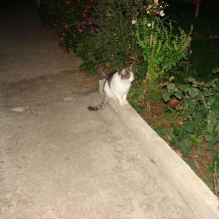 Hotel Filip 2 Biograd Na Moru Exterior foto