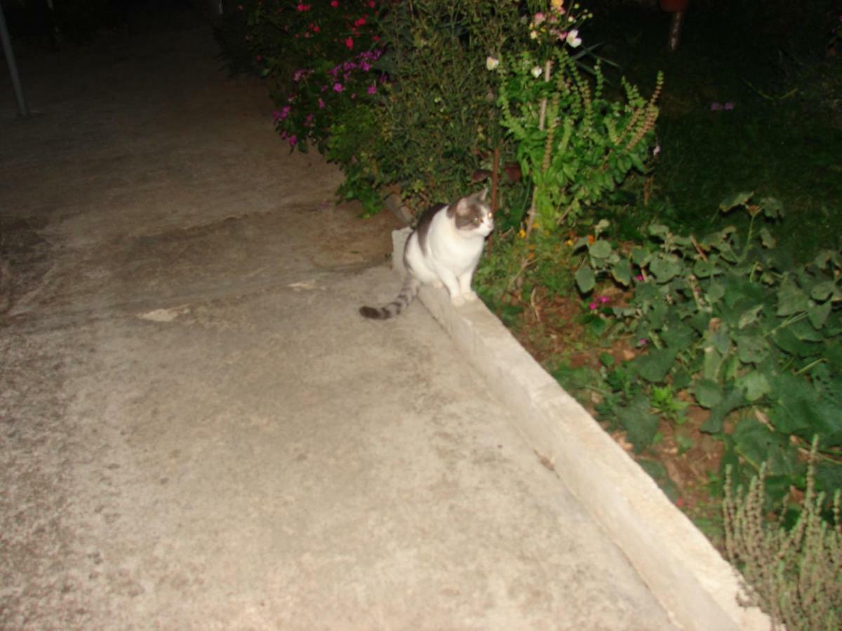 Hotel Filip 2 Biograd Na Moru Exterior foto